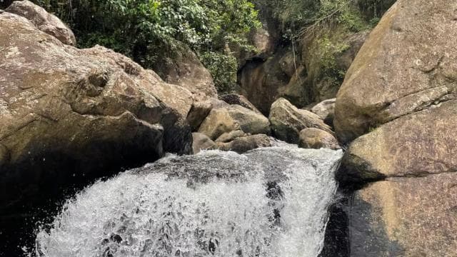 El Yunque: Hidden Off The Path Waterfall Hike w/ Transport
