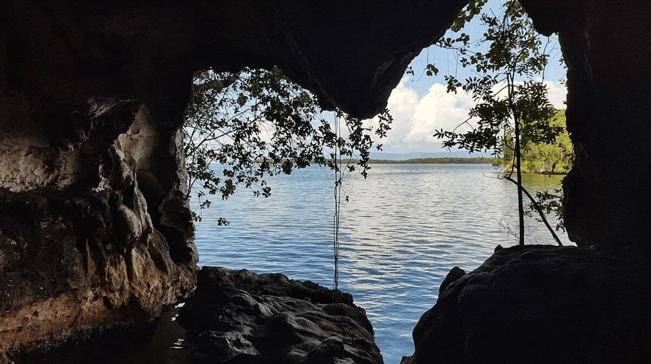 Samana: Walking City Tour