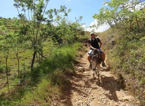 El Limón Waterfall Horseback Riding Tour