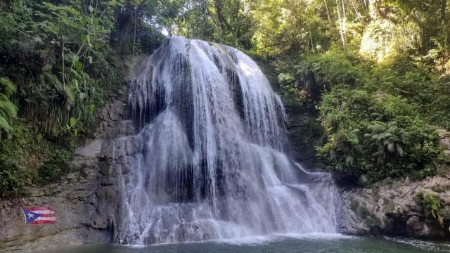 Puerto Rico: Gozalandia River Hiking and Waterfall Tour
