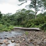 Salto La Jalda (Hiking and Swimming)