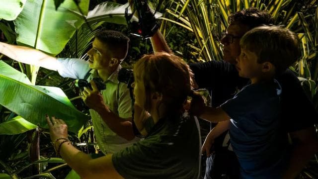 Uvita: Private Nature & Wildlife Night Tour Tropical Forest