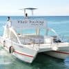 Excursion Whale Watching Samaná bay + Cayo Levantado from Puerto Plata (Private Transportation)