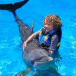 Punta Cana: Dolphin Discovery Swims and Encounters