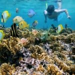 Media Luna Miches (Half-Moon) Natural Pool Half – Day Pass and Snorkeling