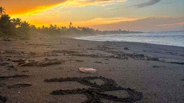 Puerto Rico: Cave & Beach Hopping Tour