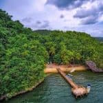 Los Haitises National Park + Lunch at Caño Hondo from Samaná Port