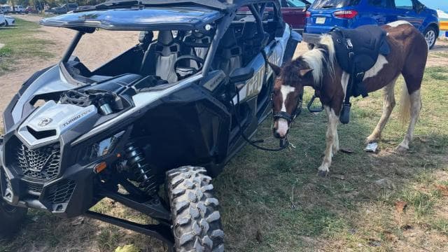 Puerto Rico: UTV and Can-Am Sightseeing Tours