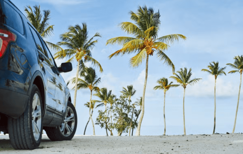 Car Rental with a Driver from Havana