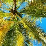 Las Terrenas: ATV Samaná Adventures – ATV Tours & Excursions in Coffee Trail Cultural Tour