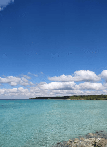 Guama and Hatiguanico River Trip