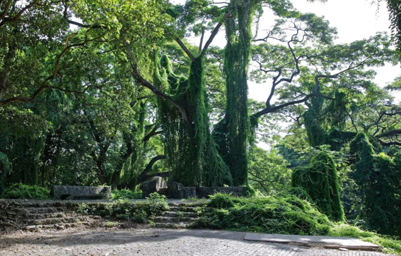 Havana Enchanted Forest Bike Tour