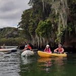 Caño Hondo : Los Haitises Sunrise or Sunset Private Kayak Excursion with Locals