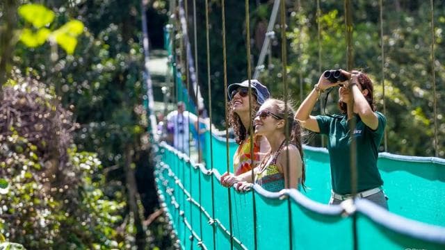 Monteverde: 3-in-1 Sky Tram, Sky Trek and Sky Walk