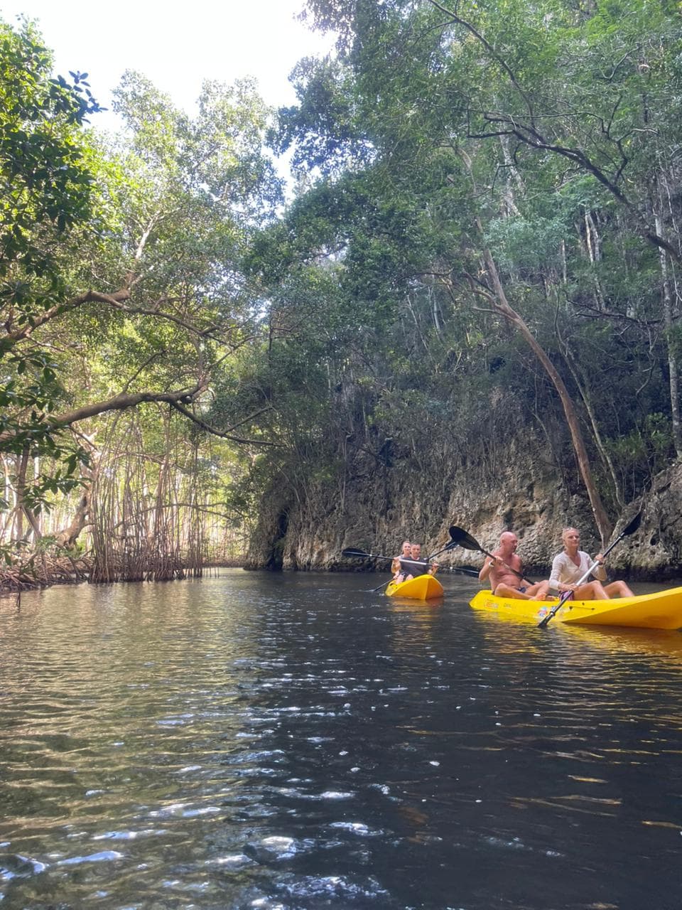 ATV, Kayaks & Caño Hondo Pools Tour from Samaná | Ferry Adventure