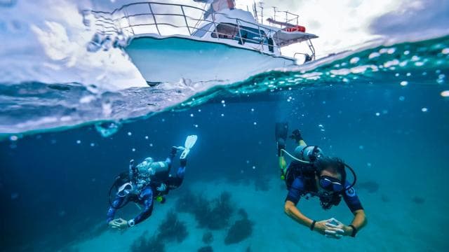Flamingo & Tamarindo: Two Dives at Las Catalinas Islands
