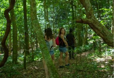 Sabana de la Mar: Los Haitises Guided Hike and Kayaking