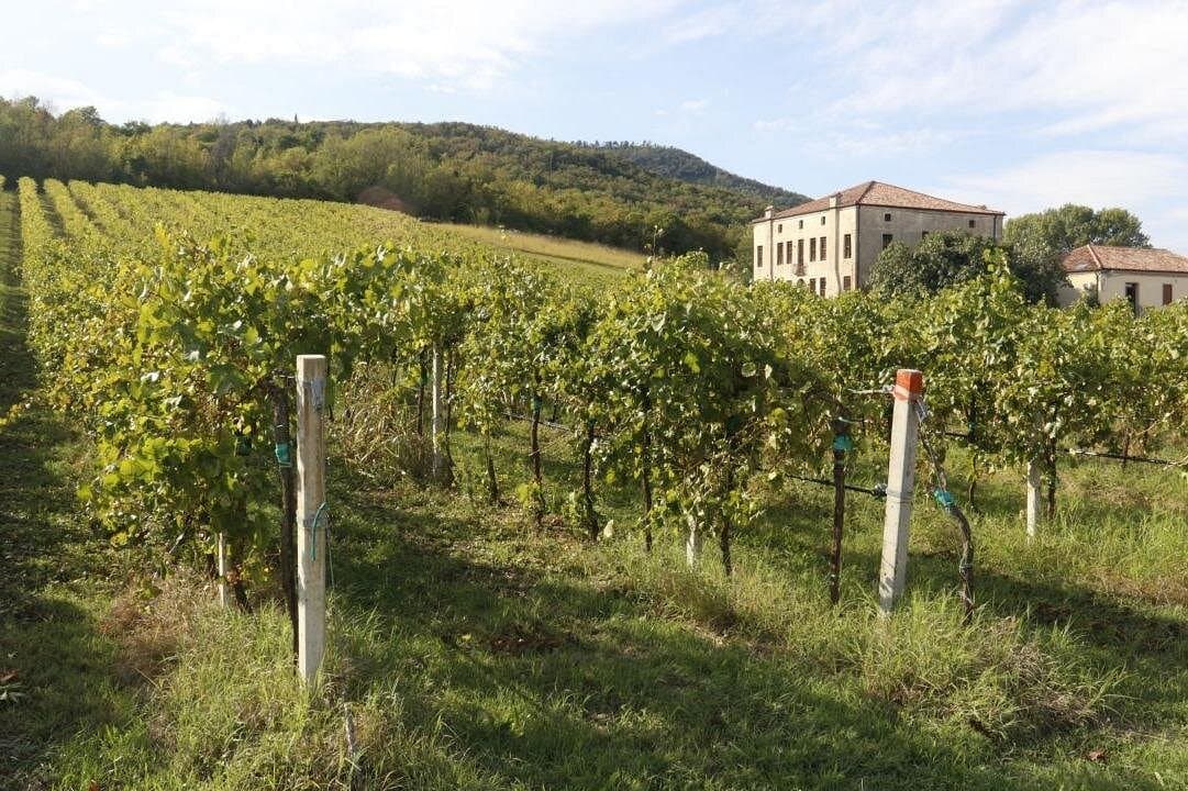 Cheese dairy farm, winery, liqueurs and spirits, ham and sausage factory