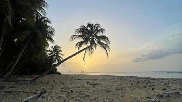 PUERTO RICO: Custom Hiking Tours with Transportation!!