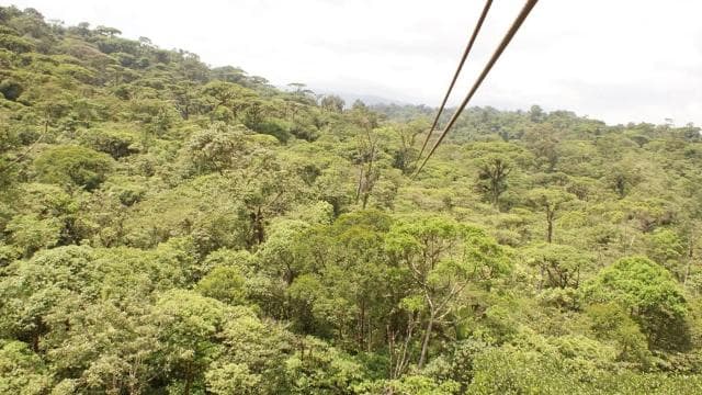 San Jose: San Luis Rainforest and Zipline Tour with Lunch