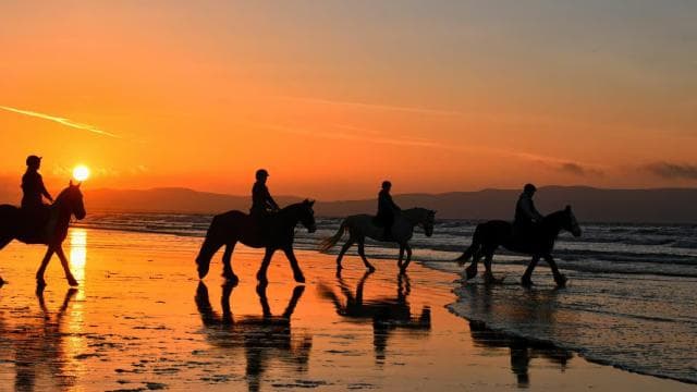 Tamarindo: Horseback to Tamarindo Beach - Guanacaste, CR