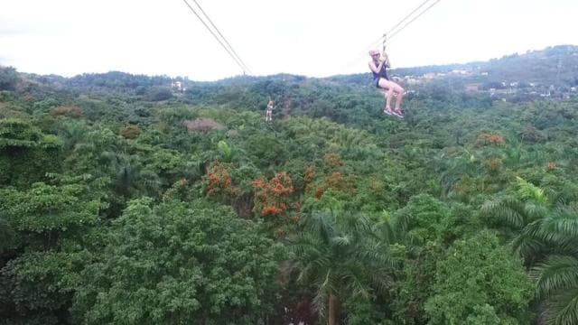 From San Juan: Zipline Canopy Adventure Tour