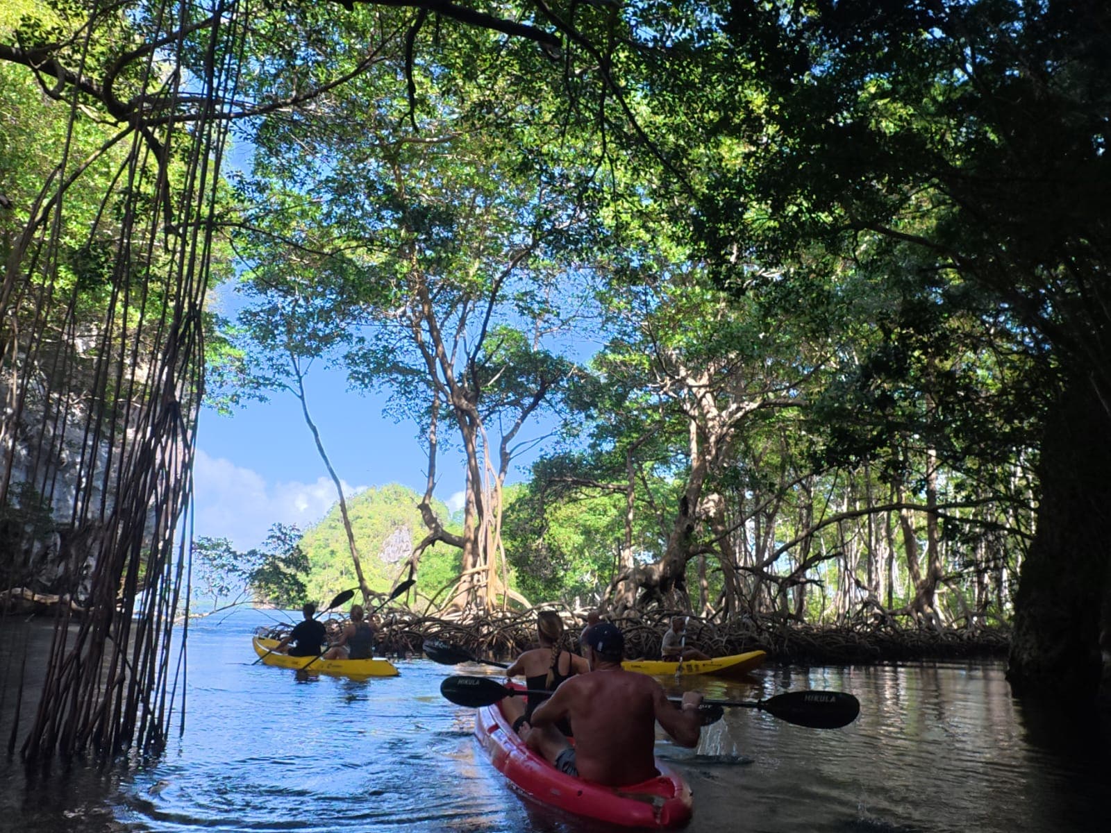 Punta Cana to Los Haitises + Kayak, Boat Ride & Macao Buggy Adventure