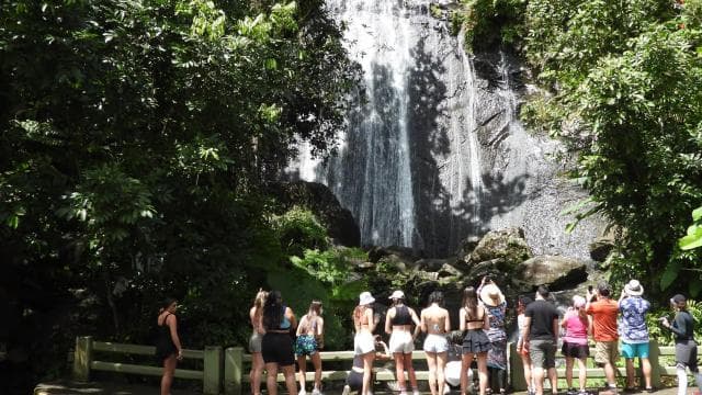 From San Juan: Rainforest Walk, Nature Swim & Luquillo Beach