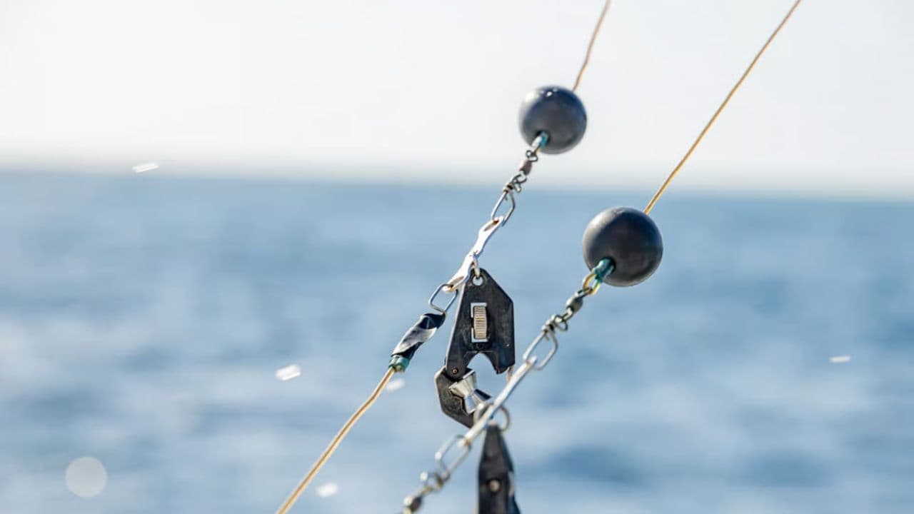 From Punta Cana: Deep Sea Fishing Tour by Boat with Drinks