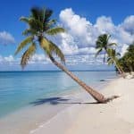 Full-Day Saona Island Tour by Speedboat