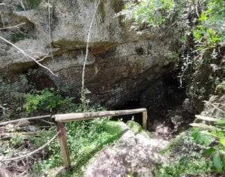 Bayahibe: National Park Jungle Walk & Snorkeling in Cenotes