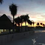 Punta Cana: Dolphin Discovery Swims and Encounters