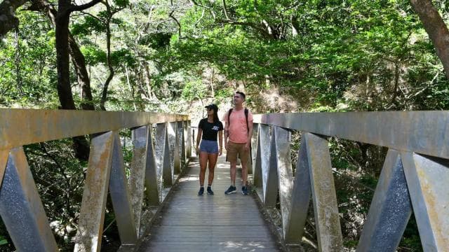 Rincón de la Vieja National Park: Las Pailas trail