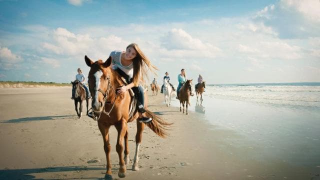 Playa Conchal: Horseback Riding -Sunset Private Tour For All