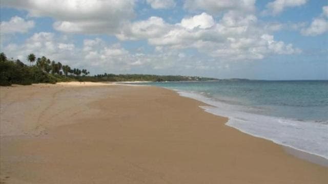 San Juan: Bad Bunny Origins & Cultural Food Tour