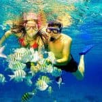 Snorkel Cayo Levantado and Farola island Snorkeling