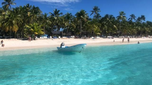 Saona Island Day Trip + Lunch + Open Bar from Punta Cana
