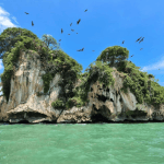 Los Haitises Boat Ride + Caño Hondo Natural Pools