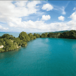 Los Haitises Boat Ride + Caño Hondo Natural Pools