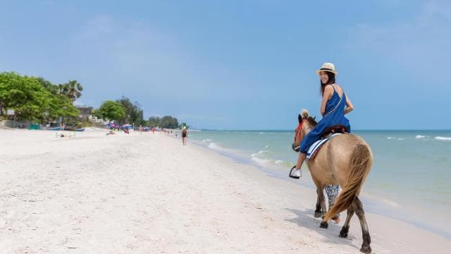Punta Cana: Horseback Riding through Stunning Beaches