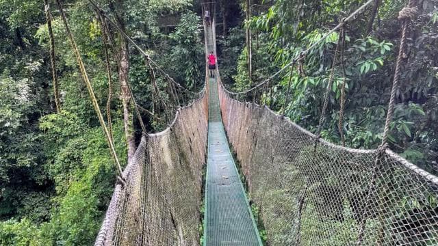 Manuel Antonio: Hanging Bridges and Waterfall Tour