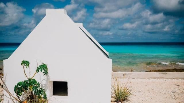 Bonaire Island adventure