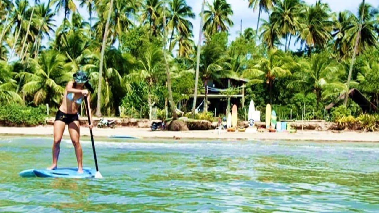 Private Transfer Punta Cana Airport to Bahia P. Bouganville
