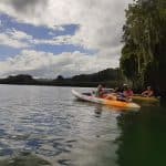 Los Haitises Sunrise or Sunset Private Kayak Excursion with Locals