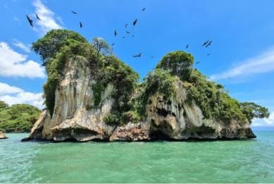 Samana: Los Haitises & Cano Hondo Overnight Tour
