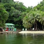 Sánchez in Samaná: Los Haitises Boat trip small groups