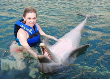 Punta Cana: Swim or Interact with Dolphins in the Sea