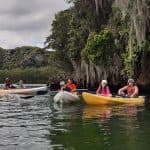 Caño Hondo : Los Haitises Sunrise or Sunset Private Kayak Excursion with Locals