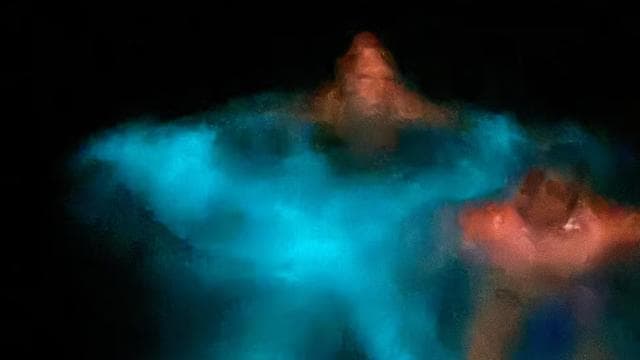 Private Snorkeling, Sunset and Bioluminicent Swim Boat Tour