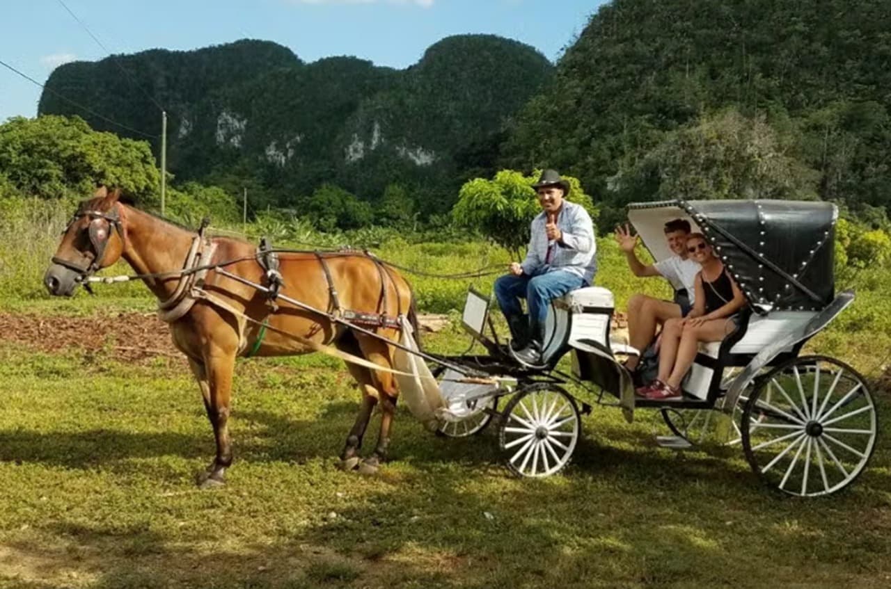 Viñales Valley Carriage Ride